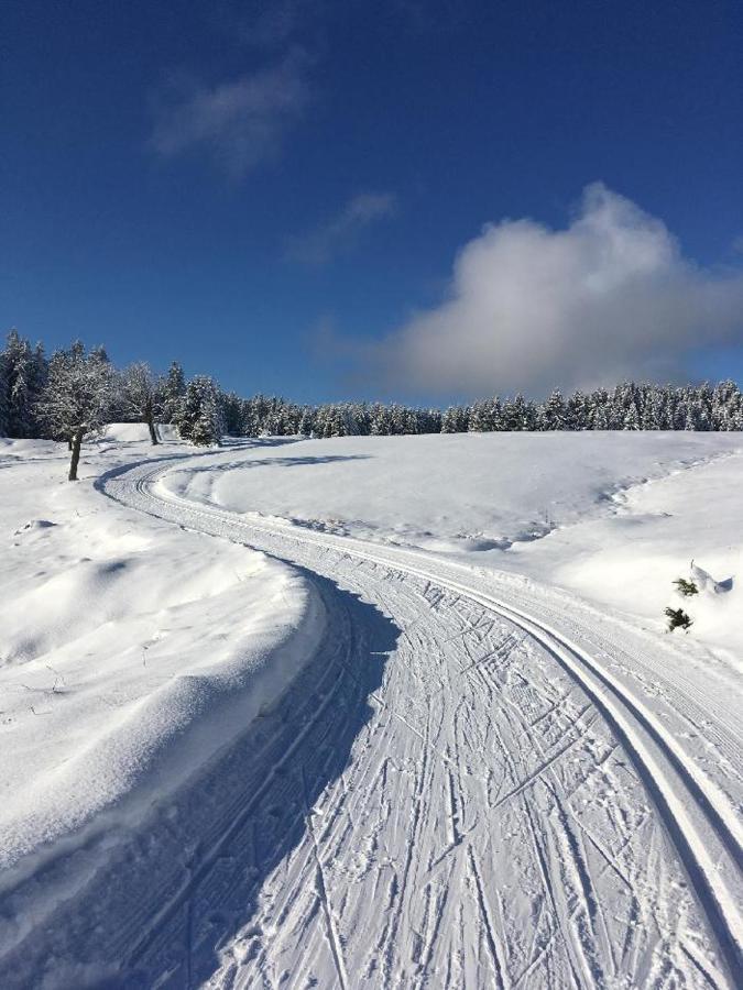 Bozi Dar 95 Lägenhet Exteriör bild